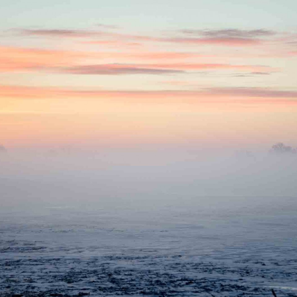 morning-fog