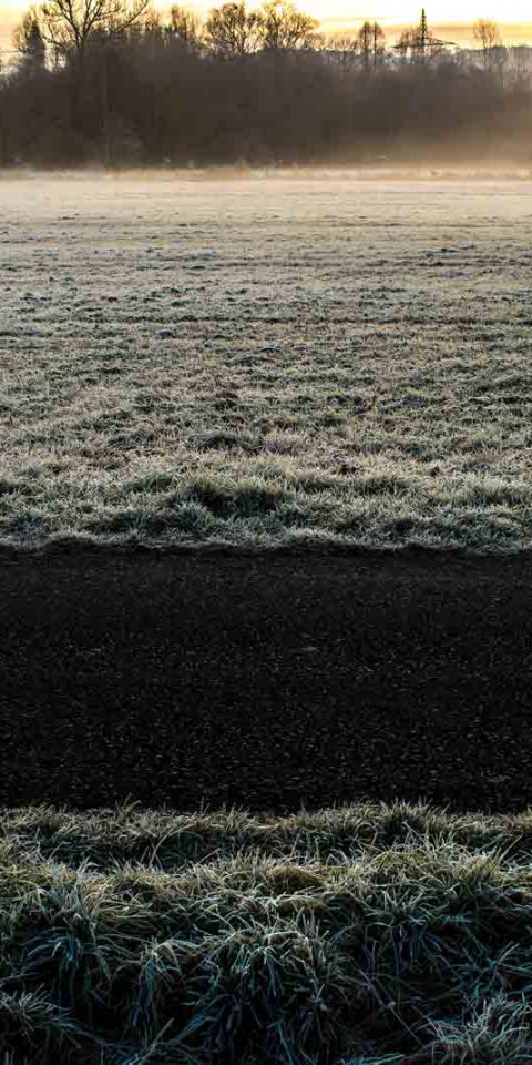 morning-frost