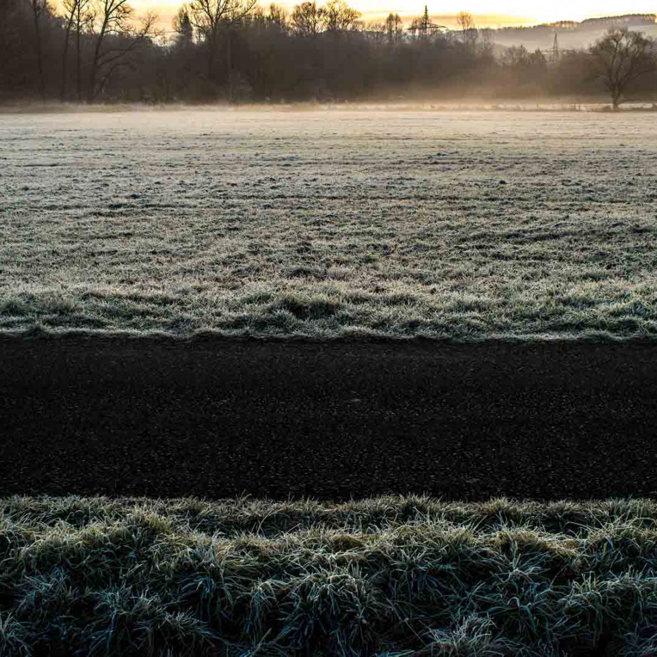 morning-frost