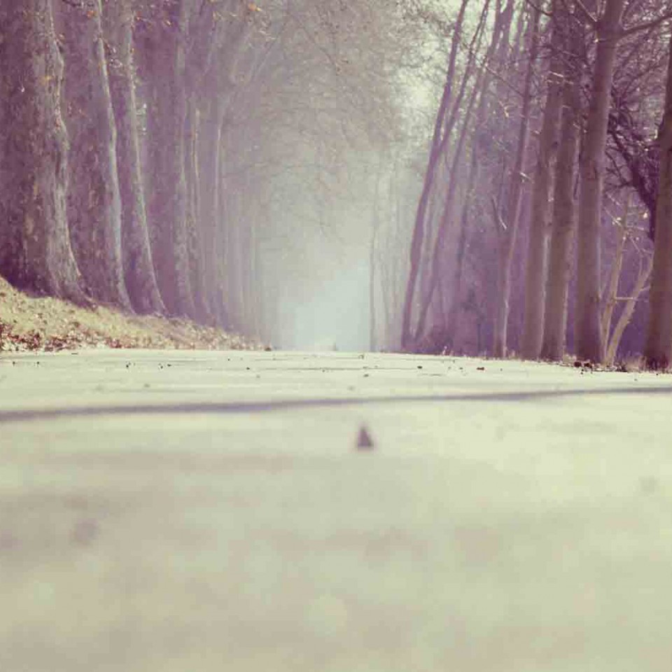 path
