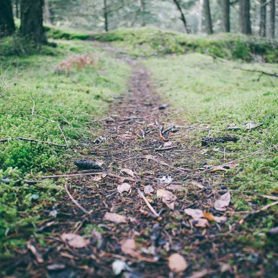trail