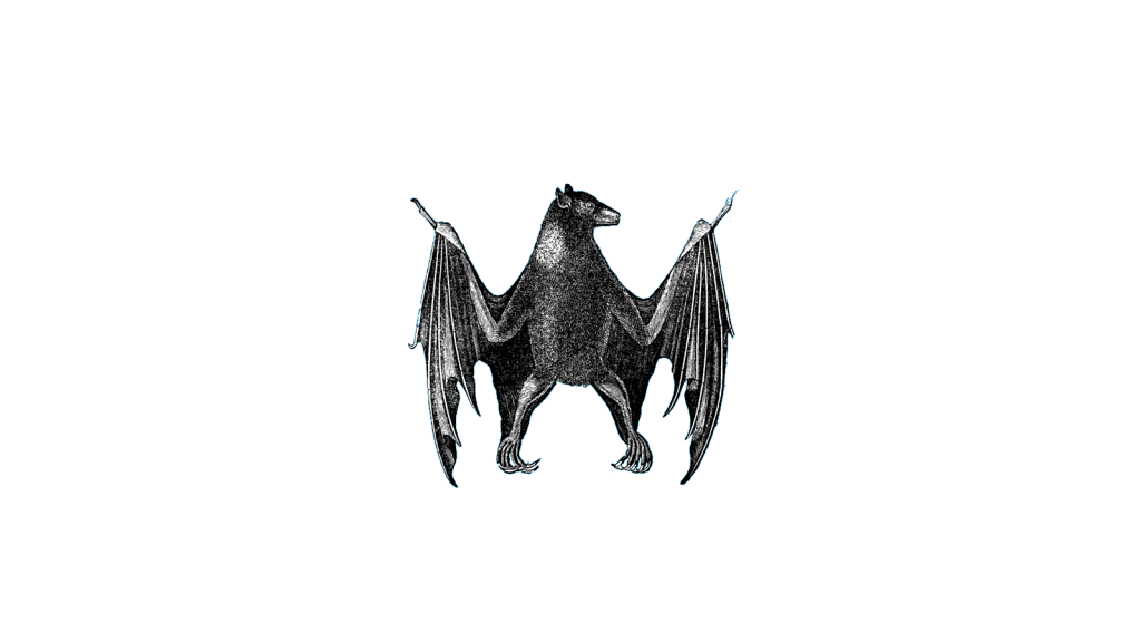 bat