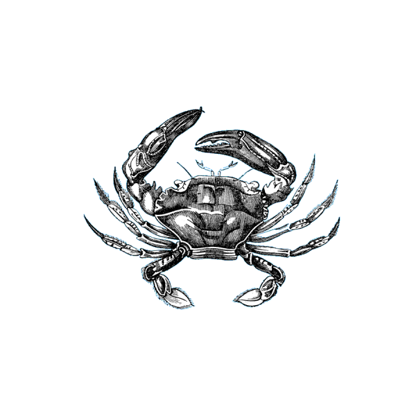 crab