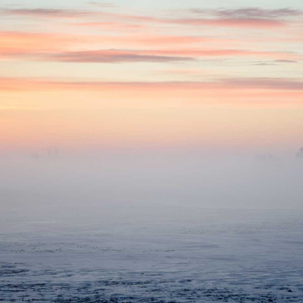 fog