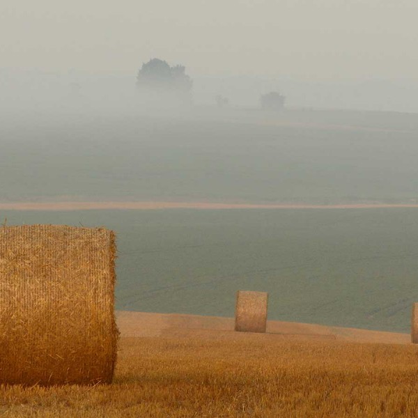 hay-bales