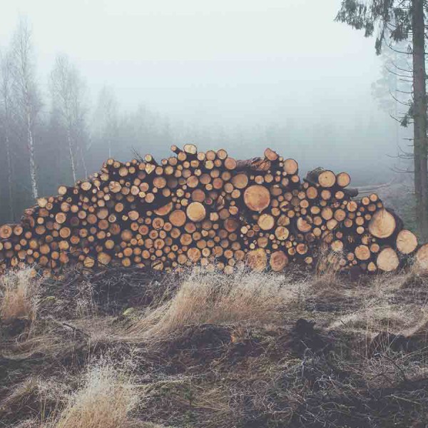 logs