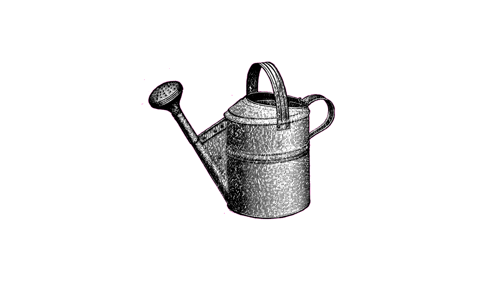wateringcan