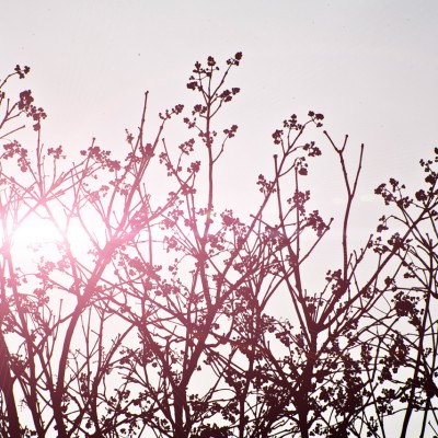 somethingpretty