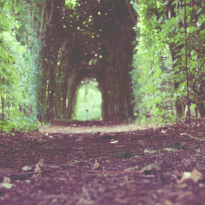 sander-zelhem-green-passage