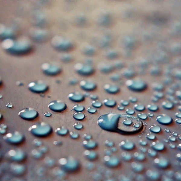 Dews