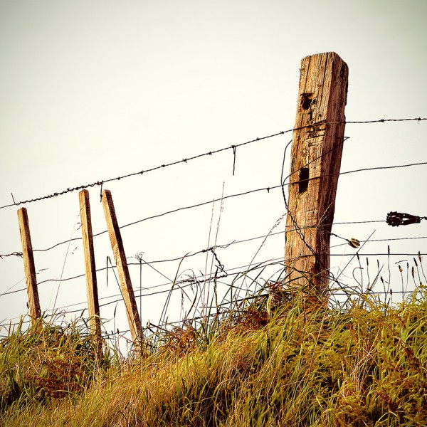 Fence-Filtered
