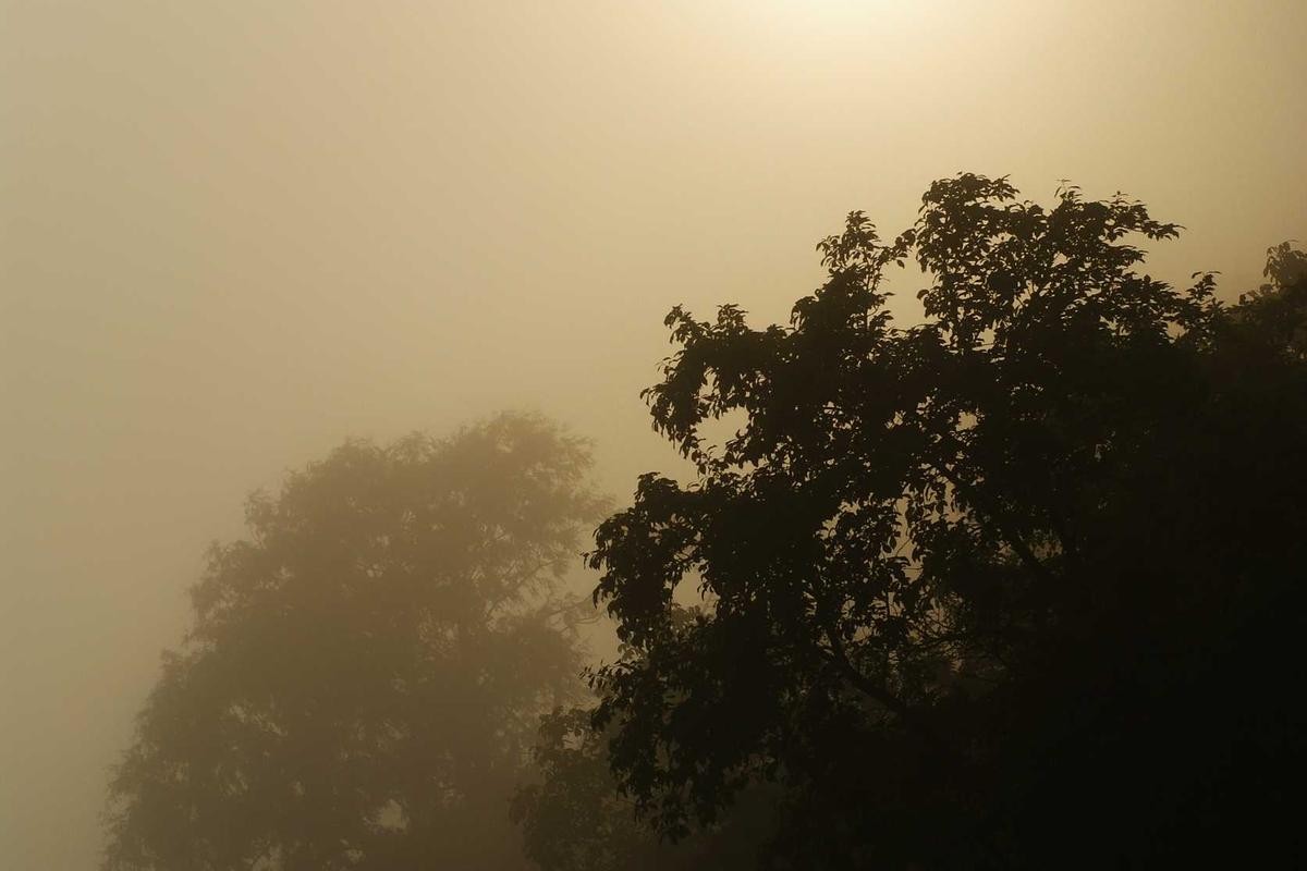 springmorning